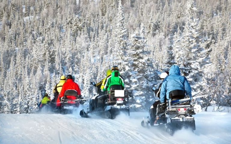 group of people snowmobiling in forest