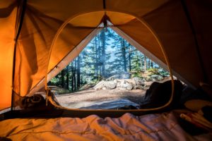 Inside of Tent